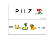 Pilz.pdf